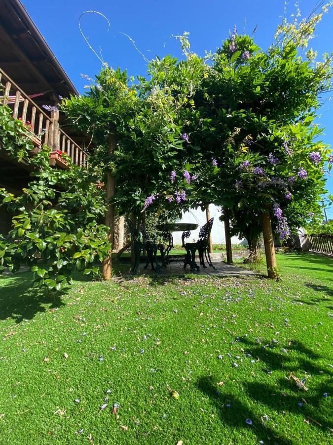 Casa Do Pomar Pensionat Bragança Exteriör bild
